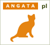 Angata - koty rasowe